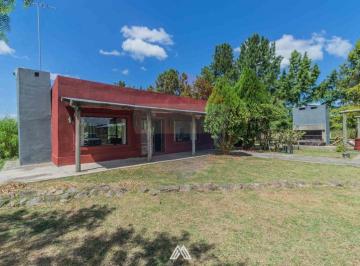 Campo · 29ha · Venta Campo 29ha 2 Casas en Est. Pedrera Ruta 88