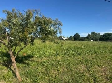 Terreno · 1238m² · Lote en Venta en Barrio La Francisca