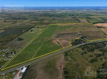 Campo · 1780000m² · En Venta 175 Has Agricolas Cañuelas