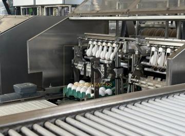 Campo · 300000m² · Campo en General Belgrano