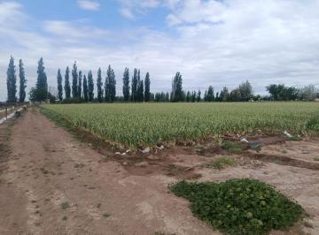 Campo , Agrelo · Euskadi Vende Increible Finca en Agrego (Cobos y Funes) - Usd 420.000