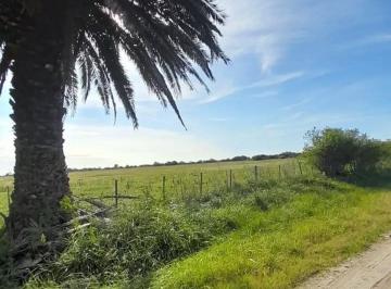 Campo , Magdalena · Se Vende 14.3 Ha en Campo de Suelo Mixto Listas Para Escriturar