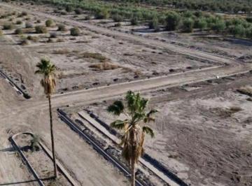Terreno · 300m² · Venta Lote Bº Covitraf Tres Esquinas, Maipú