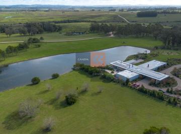 Foto1 · Lotes Amplios en Venta en Fasano Las Piedras