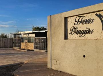 Terreno · 1036m² · Greenwood Inmobiliaria Te Ofrece Lote en Venta Lujan de Cuyo: