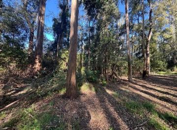 Terreno · 600m² · Terreno en Venta en Santa Ana – 600 m²