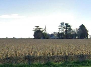 Campo · 15370000m² · Campo en Venta - 1537ha - Santa Fe