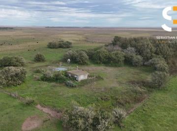 Campo · 2620000m² · 1 Ambiente · Campo - General Lavalle