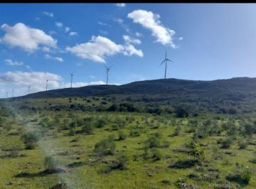 Campo · 160000m² · Chacra 16 Has Sierra de Los Caracoles con Monte Cañada y Tajamar