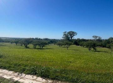 Terreno · 2400m² · Venta de 24 Lotes en Alta Gracia