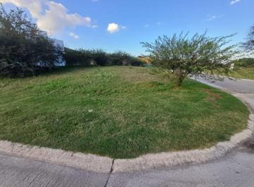 Terreno · 456m² · Terreno en Colinas de La Deseada
