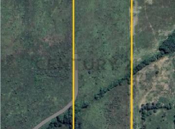 Campo · 6m² · Campo - Camino San Carlos 6 Hect.
