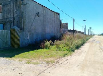 Terreno , Balcarce · 10 Hectáreas con 3 Galpones de 3000 m²