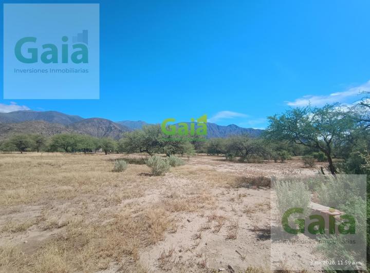 Campo · 89540m²