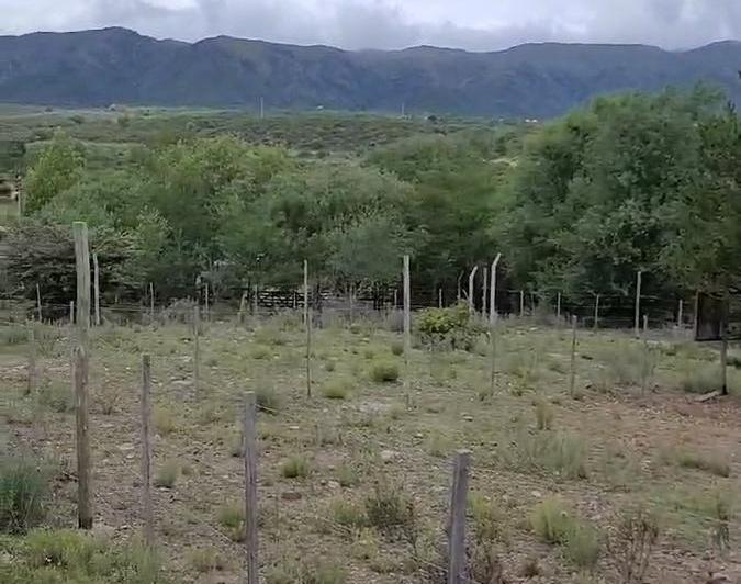 Terreno · 378m²