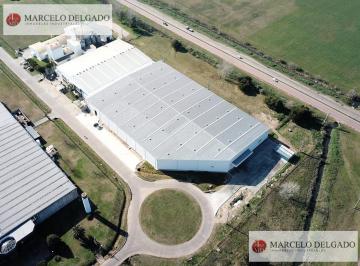 Bodega-Galpón · 8320m² · 1 Ambiente · Galpón Depósito 8800 m² en La Plata, Nave Industrial Triple a Alquila o Vende