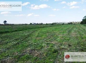 Terreno · 90000m² · Fracción de 9 Hectáreas en Guernica – Ideal Barrio Privado - Venta