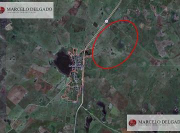 Terreno · 300ha · Oportunidad Única: Campo de 223 Hectáreas Mixtas con Frente Sobre Autovía 2 en General Guidon Genera