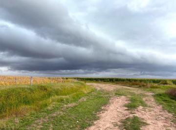 Campo · 1555600m² · Venta Campo Agrícola 155 Has - Tortugas - Sta Fe
