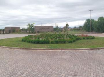 Terreno , Mayor Drummond · Venta Lote Apto PH Barrio Privado Las Palmas
