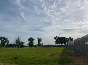 Terreno · 1348m² · Lote en Venta - 1348 m² - La Plata
