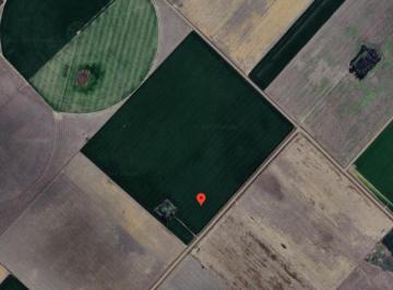 Campo · 109000m² · Campo en Venta - 10.98 Hectáreas - Rojas
