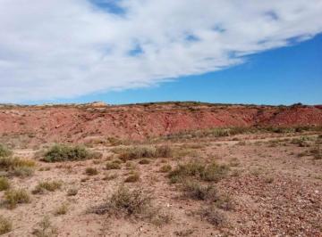 Terreno · 9992m² · En Venta Lote 9992 m² Vaca Muerta - Senillosa