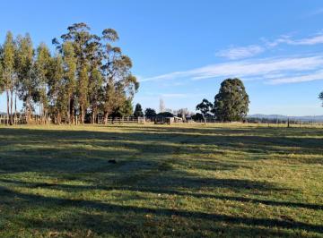 Campo · 50000m² · 4 Ambientes · Chacra con Casa Sobre Camino Nacional Cerca San Carlos