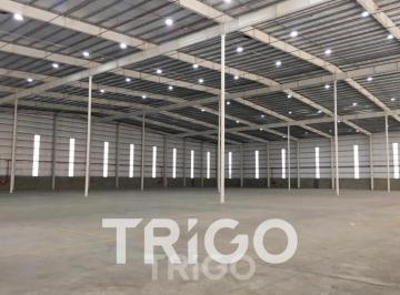 Bodega-Galpón de 1 ambiente, Ezeiza · Depósito Industrial Logístico en Alquiler Polo Industrial Ezeiza en Spegazzini con Seguridad 24hs