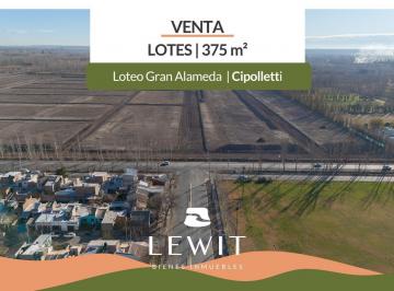 Terreno · 375m² · Venta Terreno Comercial Loteo Gran Alameda Cipolleti 375 m²