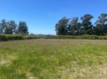 Terreno , Tandil · Terreno de 32,5 m X 65 m (2112 M&sup2;) en Valle Amilcar, Tandil