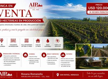 Campo · Finca - San Rafael
