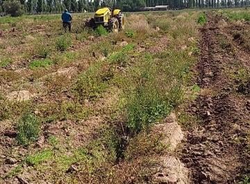 Terreno , Guaymallén · Vende Finca! Los Corralitos, Guaymallen.