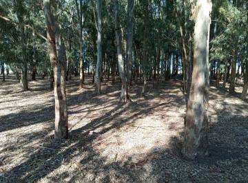 Campo · 14169m² · Venta de Campo, Berisso