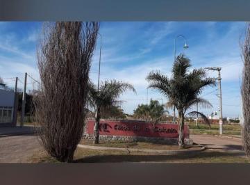 Terreno · 350m² · Hermoso Terreno en Altos de La Colonia