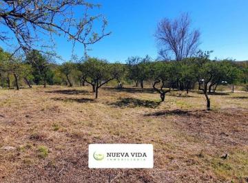 Terreno , Santa Rosa de Calamuchita · Venta de Terreno, La Olla. Santa Rosa de Calamuchita