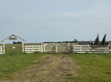 Campo · 1443m² · 2 Ambientes · Campo - General Lavalle