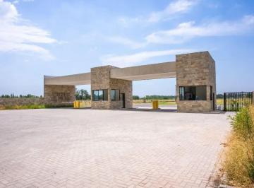 Terreno · 600m² · Terreno en Venta - 600 m² - Exaltación de La Cruz