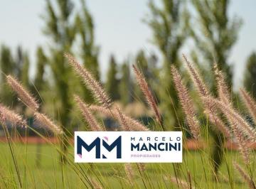 Terreno · 600m² · Venta Terreno en Los Talas Escritura