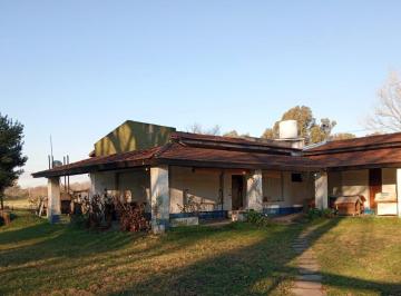 Campo · 29500m² · Campo en Zelaya