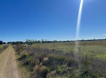 Terreno · 33900m² · Terreno Sobre Ruta Nacional Nº 5, Anguil La Pampa