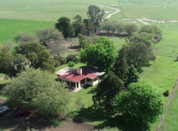 Campo · 8250000m² · Campo en Venta en General Madariaga 825 Hectáreas