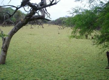 Campo · 349270016m² · Campo en Venta en Coronel Juan Sola Salta