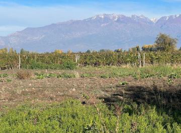 Terreno , La Consulta · ️ Terreno con Increíble Vista a La Montaña – Entorno Único