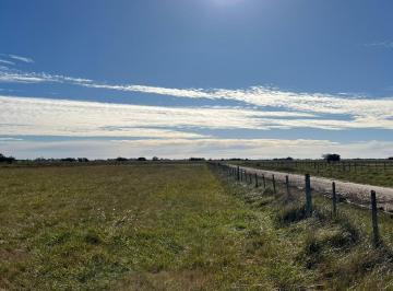 Campo · 503637m² · Campo en Venta - 50 Hectáreas - General Madariaga
