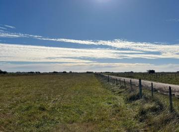 Campo · 503637m² · Campo en Venta - 50 Hectáreas - General Madariaga