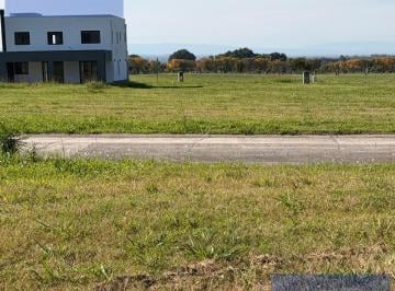 Terreno · 710m² · Terreno - San Pablo