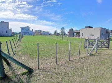 Terreno · 300m² · Hermoso Lote con Precio Único en El Barrio Domselaar Chico Venta