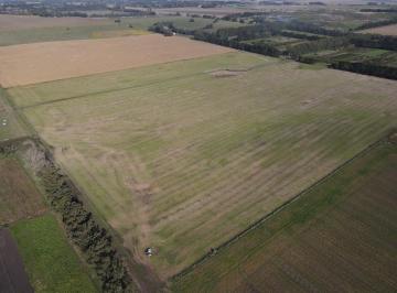 Campo · 500000ha · Campo Agrícola 50 Ha en Mar del Plata