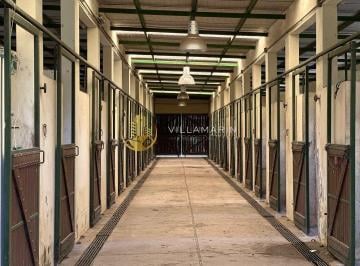 Campo · 10000m² · Terreno Campo en Venta Ubicado en Haras El Malacate, Exaltación de La Cruz, G. B. a. Zona Norte